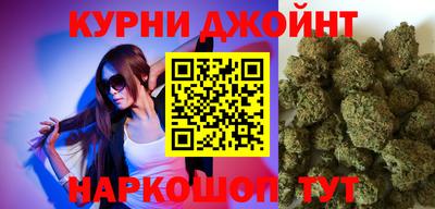 гидра Можга