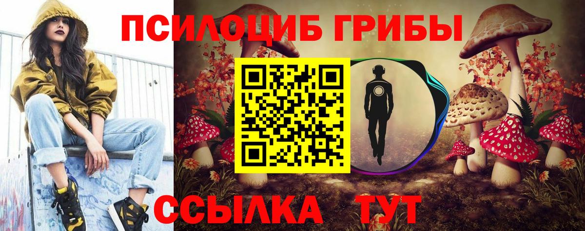 Галлюциногенные грибы Cubensis Ульяновск