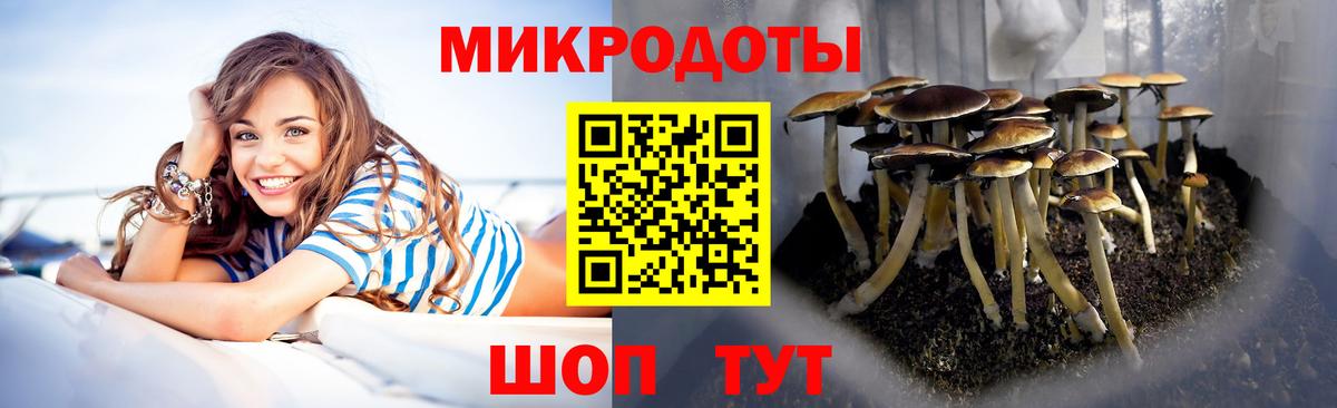 Галлюциногенные грибы мицелий  купить закладку  Ульяновск  Вход с VPN 